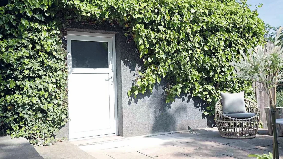 Efeu an Hauswand mit Tür